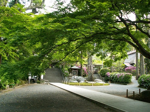大興善寺1