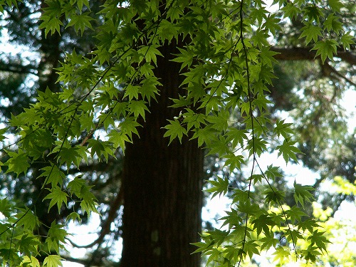 大興善寺23