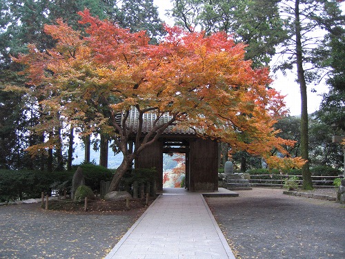 大興善寺2