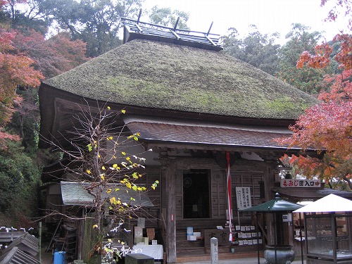 大興善寺4