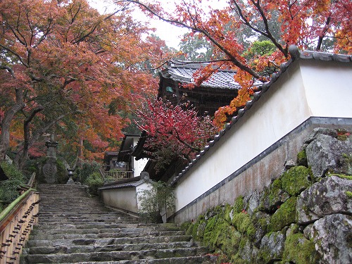 大興善寺6