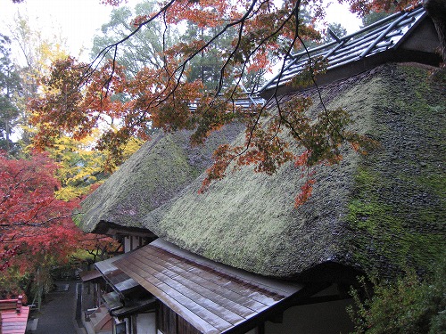 大興善寺7