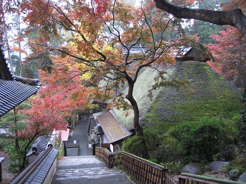大興善寺28