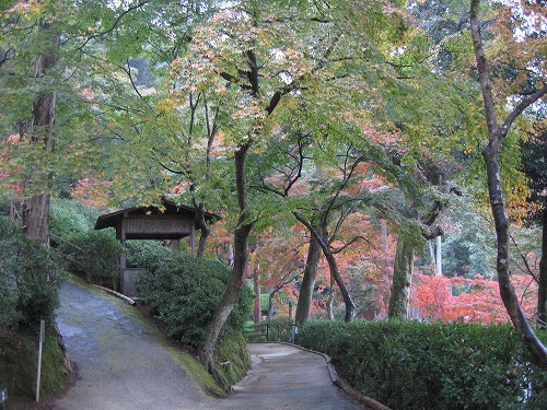 大興善寺16