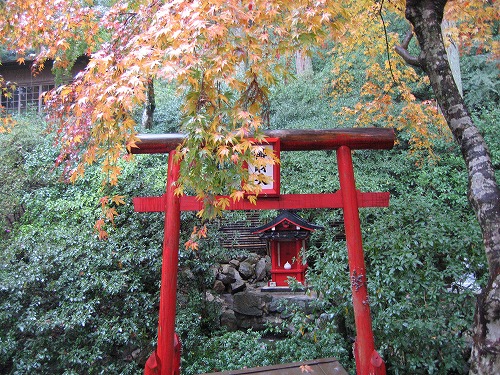 大興善寺8