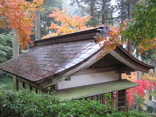 大興善寺9