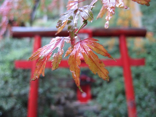 大興善寺11