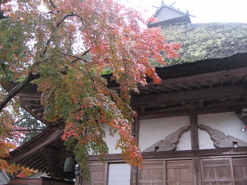 大興善寺18