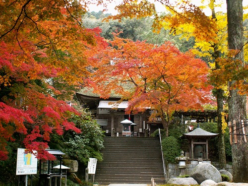 大興善寺23