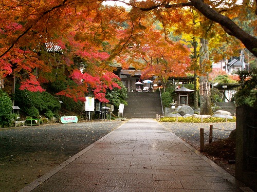 大興善寺24