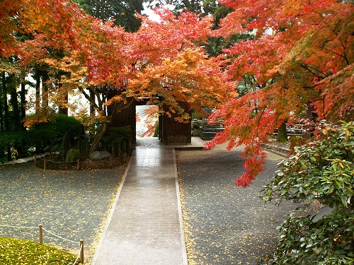 大興善寺25