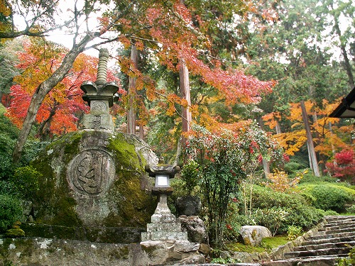 大興善寺26