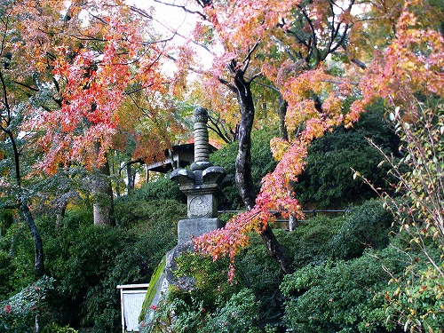 大興善寺29
