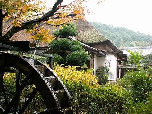 大興善寺30