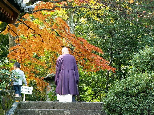 大興善寺32