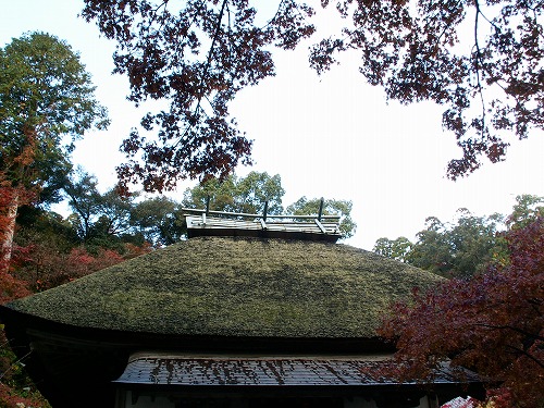 大興善寺1