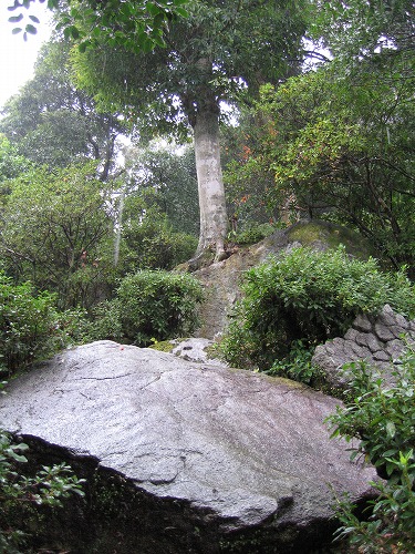 大興善寺公園4
