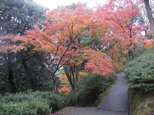 大興善寺公園5