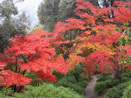 大興善寺公園7