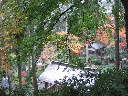 大興善寺公園8
