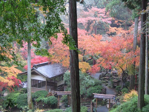 大興善寺公園9