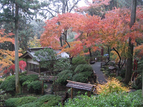 大興善寺公園10