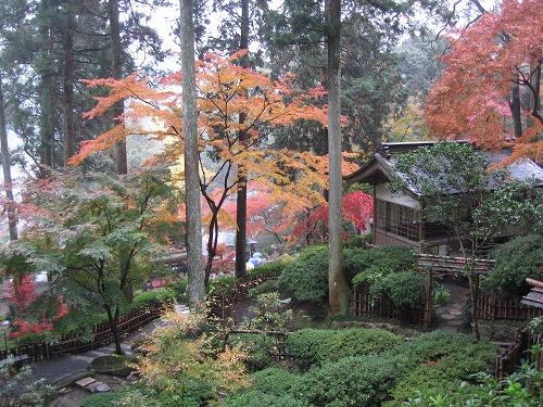 大興善寺公園11