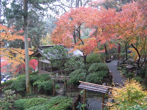 大興善寺公園12