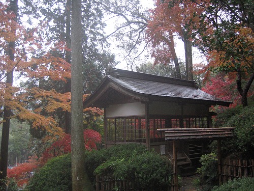 大興善寺公園1