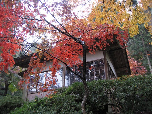 大興善寺公園2