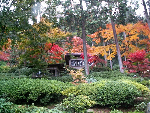 大興善寺公園14