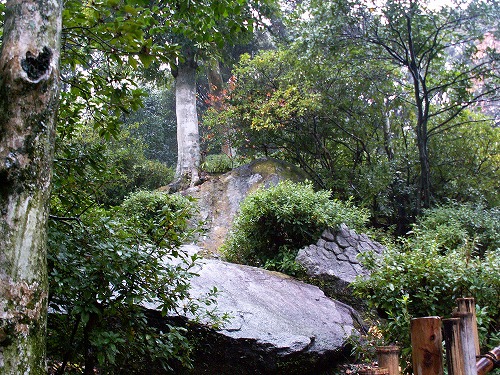 大興善寺公園17