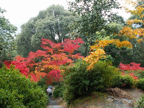 大興善寺公園21