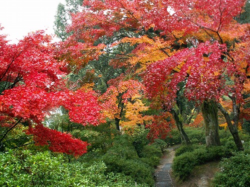 大興善寺公園24