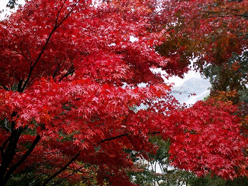 大興善寺公園25