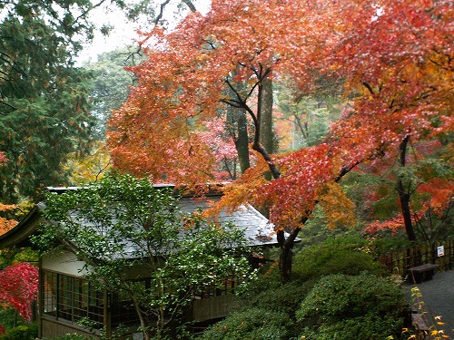 大興善寺公園26
