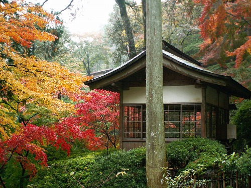 大興善寺公園27