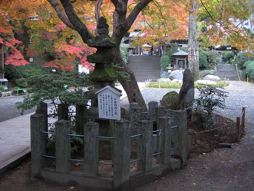 大興善寺24