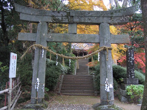 大興善寺1