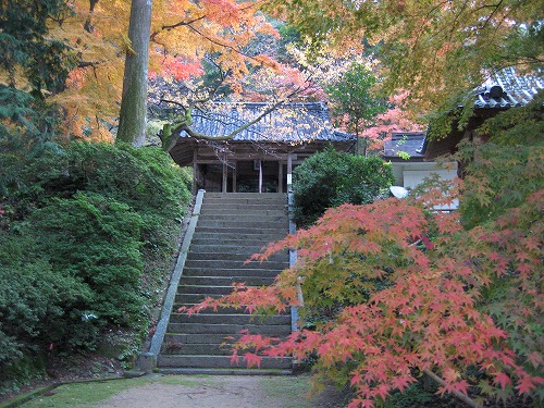 大興善寺3