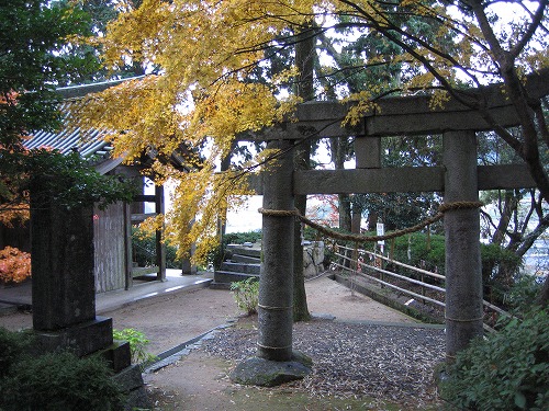 大興善寺10