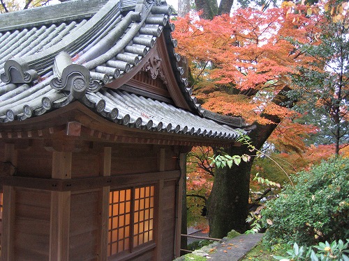 大興善寺11