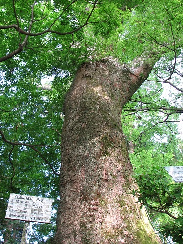 大興善寺21