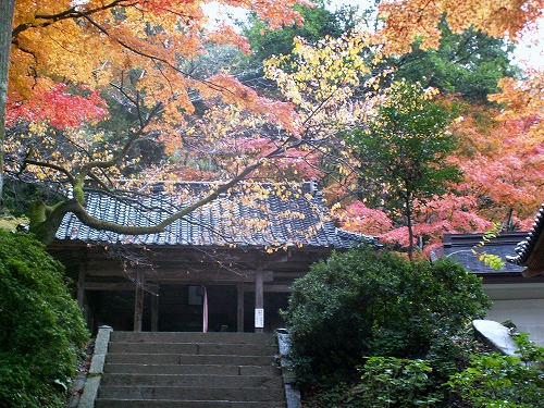 大興善寺13