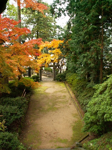 大興善寺20