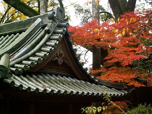 大興善寺15
