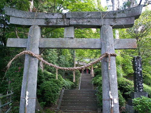 大興善寺7