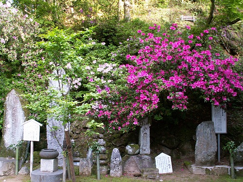 大興善寺27