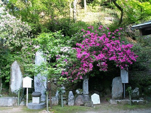 大興善寺28