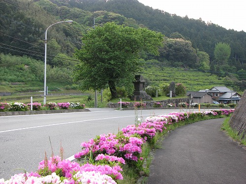 大興善寺参道1